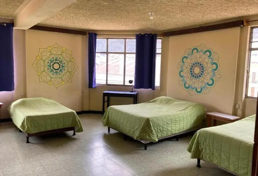 تختخواب در اتاق مشترک, Kasa Kiwi Hostel & Travel Agency