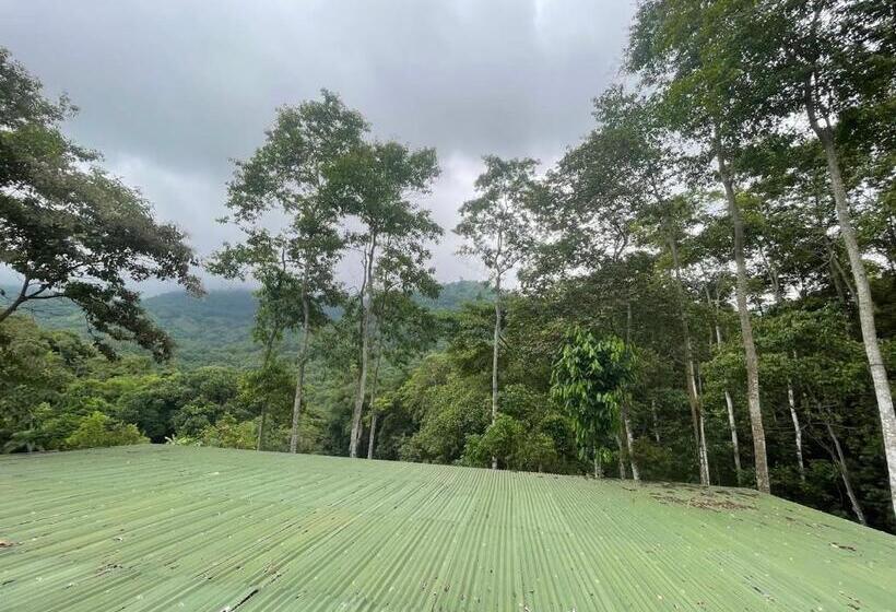 Номер Стандарт Трехместный, Hostal La Gran Ceci