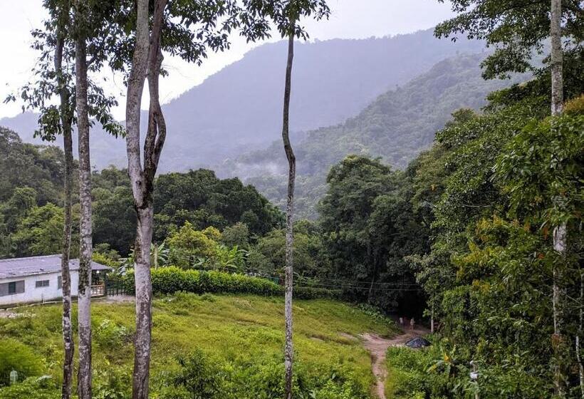 Номер Стандарт, Hostal La Gran Ceci