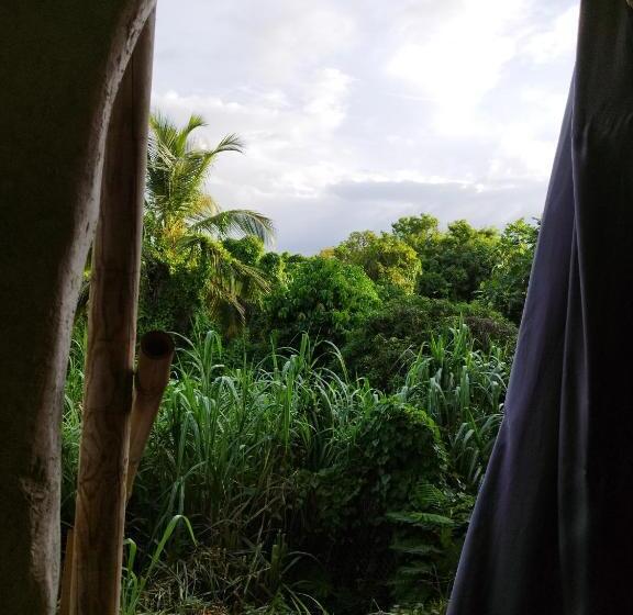 اتاق استاندارد با چشمانداز باغ, Tikazalou Eco Hostel