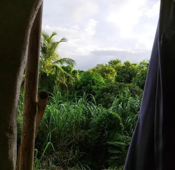 اتاق استاندارد با چشم‌انداز باغ, Tikazalou Eco Hostel