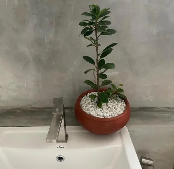 Standard-huone Merinäkymä, Blue Maalu Resort
