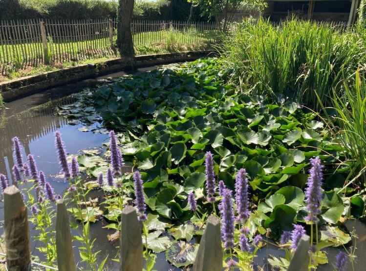 スタンダードルーム, Chambre Normande