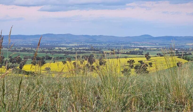 חדר סטנדרט עם מיטת קינג, The Silos Accommodation