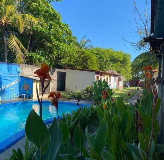 패밀리 룸, Room In Bb   Beach Hotel Room For 6 P Pool Breakfast And Fan