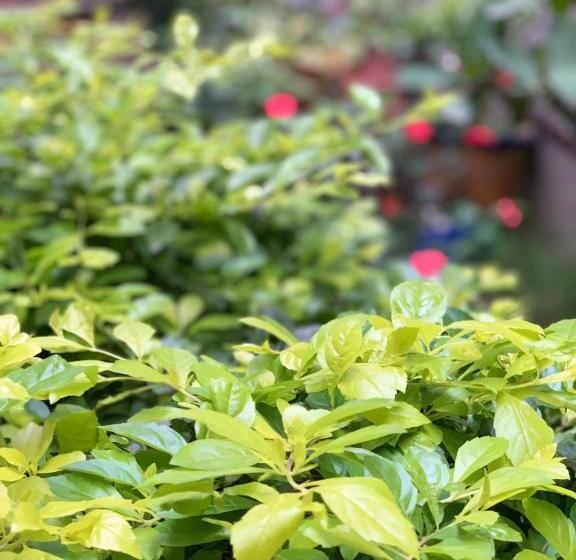 اتاق ساده سه‌ نفره, Hostal Familiar Ulua