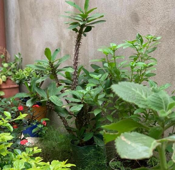 اتاق ساده سه‌ نفره, Hostal Familiar Ulua