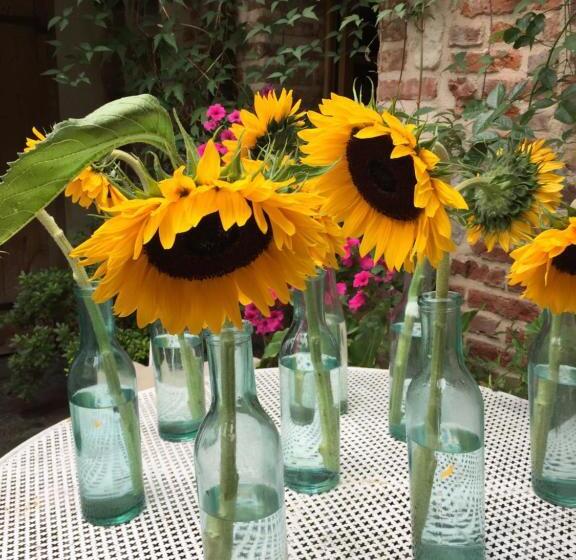 جناح, A L Ecole Buissonniere