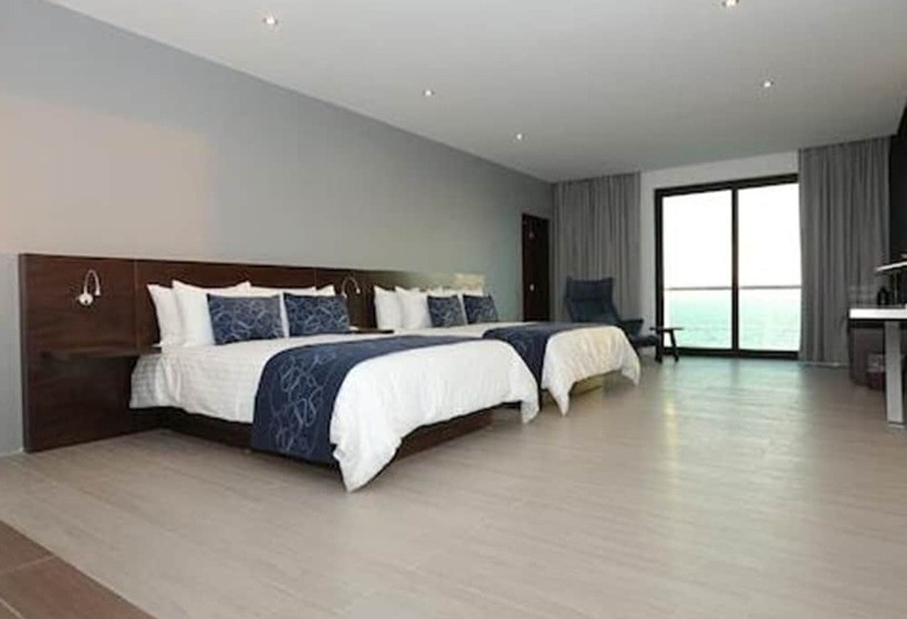 جناح جونيور, Marea Vista