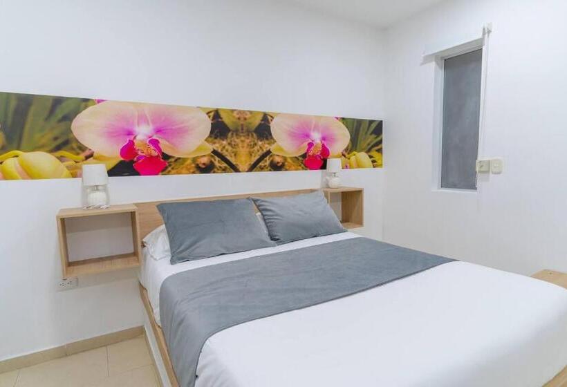 标准间, Plataneras Plaza