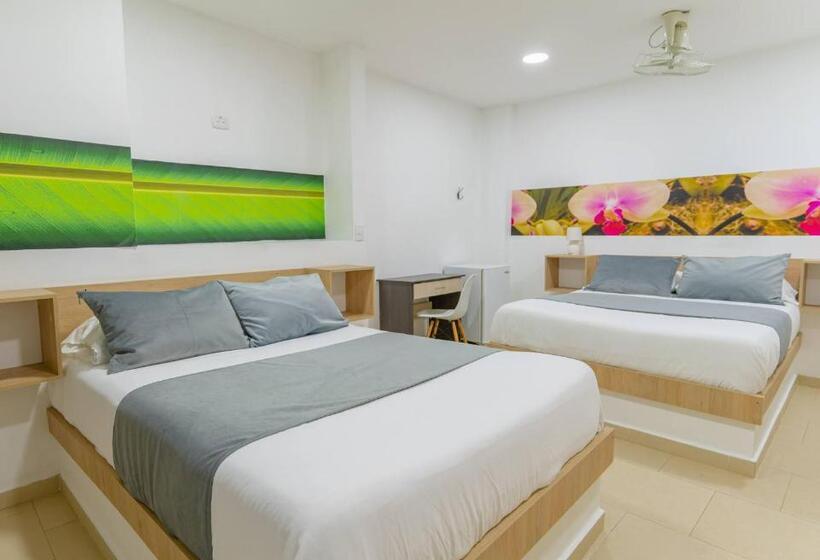 اتاق استاندارد با 2 تخت دوبل, Plataneras Plaza