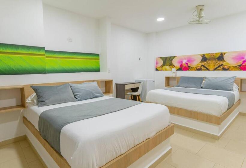 اتاق استاندارد با 2 تخت دوبل, Plataneras Plaza