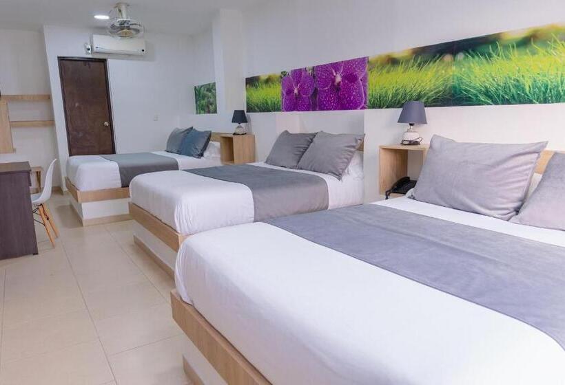 基本三人间, Plataneras Plaza