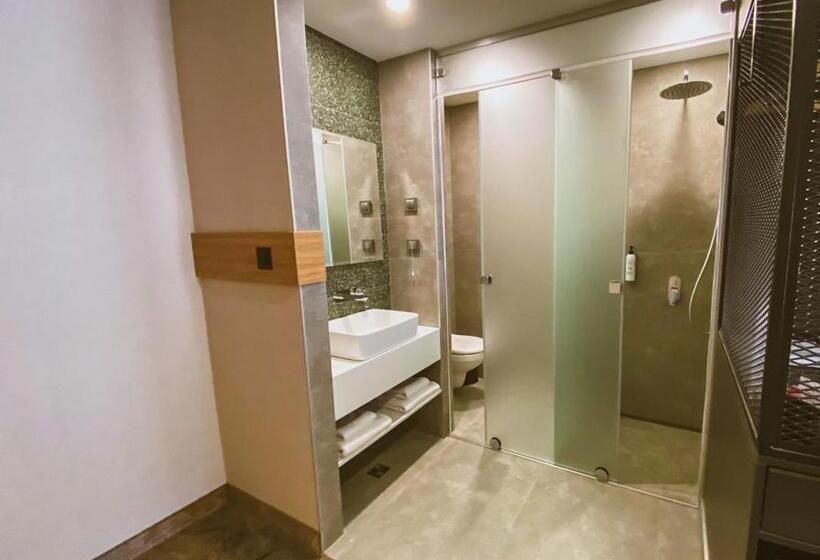 غرفة قياسية, B1 Downtown