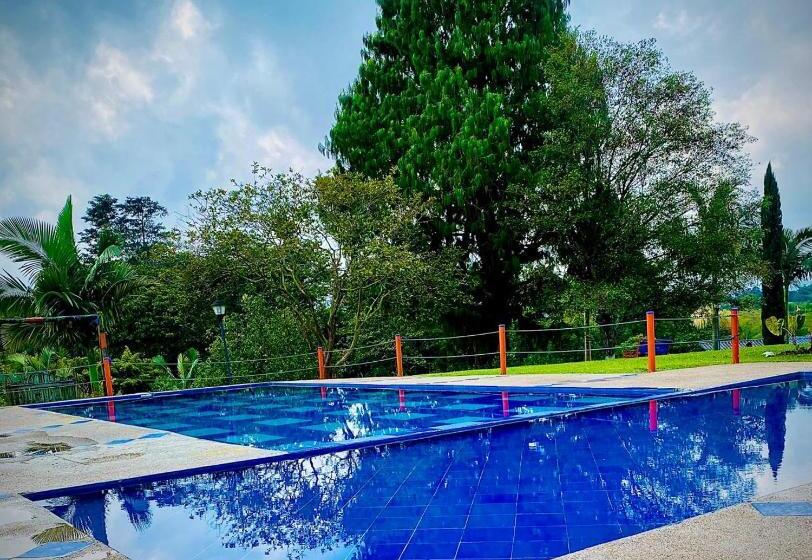 Standard Szoba, Paisaje Cafetero