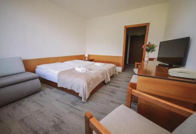 スタンダードルーム, Atlas Hotel Tatry