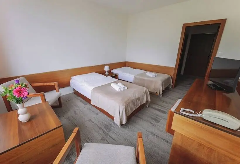 バルコニー付きスタンダードルーム, Atlas Hotel Tatry
