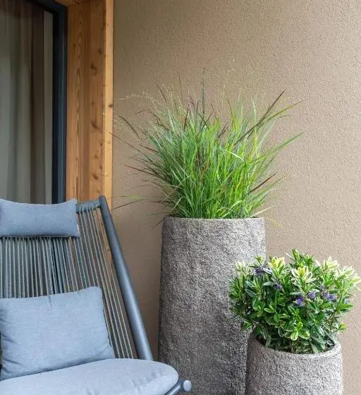 １ベッドルームアパートメント, Private Homes Alpin Spa Apartments