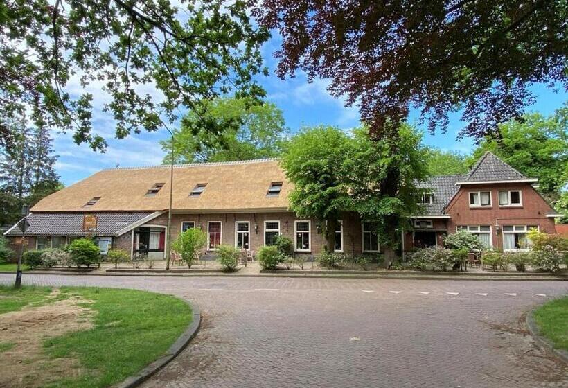 اتاق خانوادگی, T Hunebed