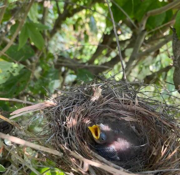 バルコニー付きスタンダードルーム, Amamoor   Living Waters