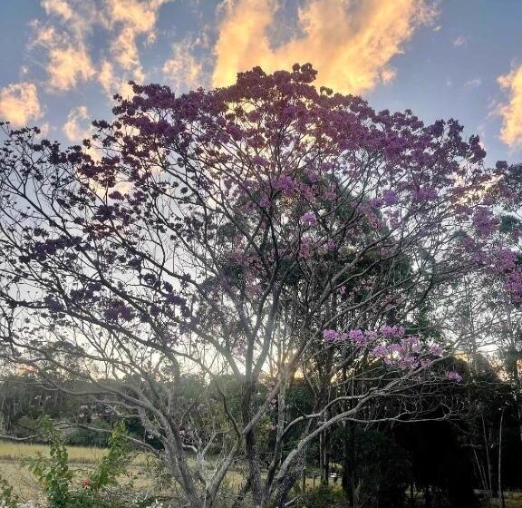 バルコニー付きスタンダードルーム, Amamoor   Living Waters