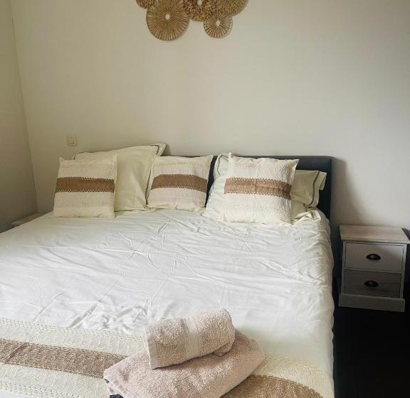 Номер Стандарт, Equus B&b