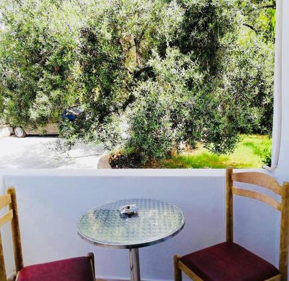 اتاق ساده سه‌ نفره, Ilion