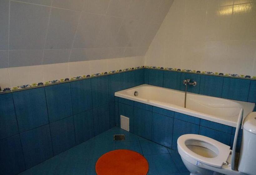 스탠다드 룸 킹사이즈 침대, Pensiunea Bella Predelut