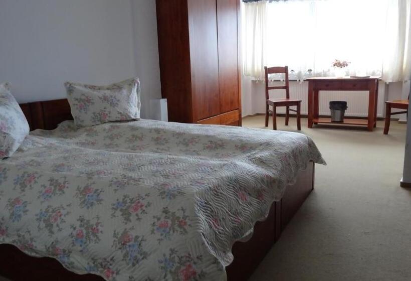 스탠다드 룸 킹사이즈 침대, Pensiunea Bella Predelut