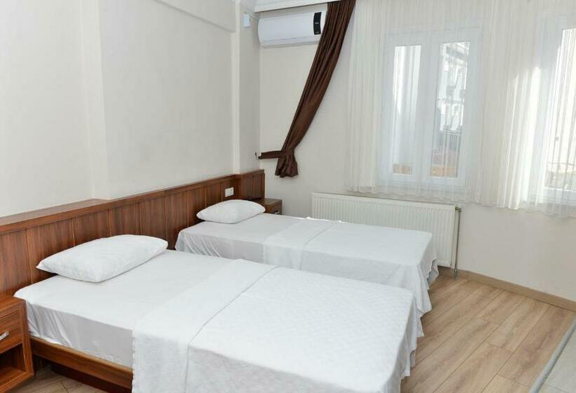 غرفة قياسية, Bilgic