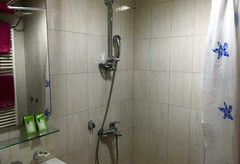 חדר סטנדרט יחיד, Danubian Crew