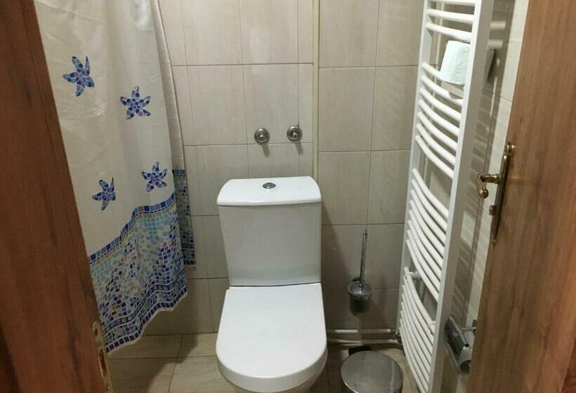 חדר סטנדרט יחיד, Danubian Crew