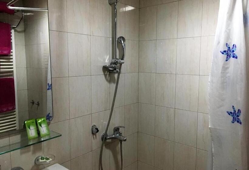 חדר סטנדרט, Danubian Crew