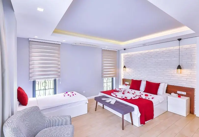 Basic Triple Occupancy Room