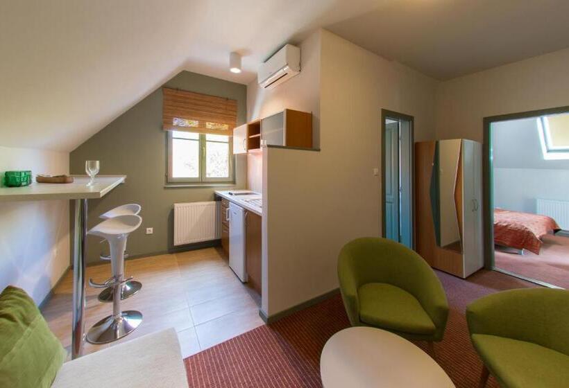 침실 1개 디럭스 아파트, Villa Oliva Boutique Rooms & Spa Zamárdi