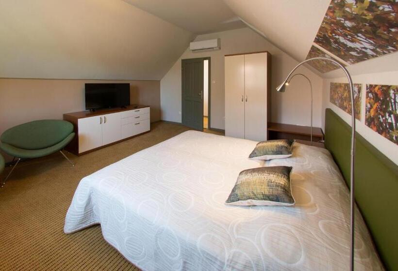 수피리어 스위트, Villa Oliva Boutique Rooms & Spa Zamárdi