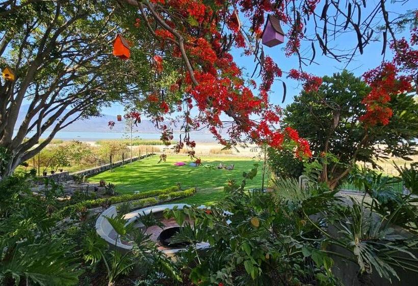 جناح مزود بجاكوزى, Real San Pedro. Hotel Boutique