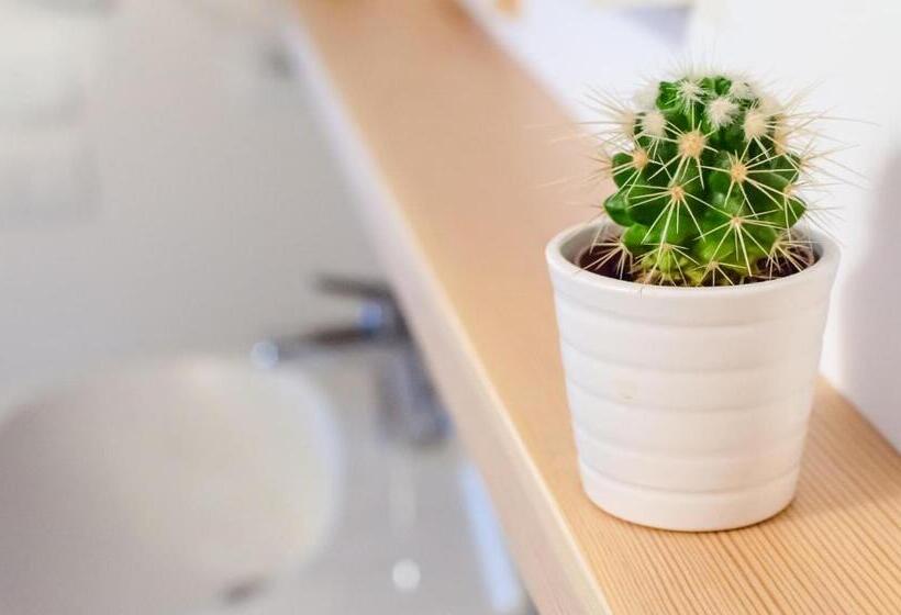 סוויטה משפחתית, B&b Lupo