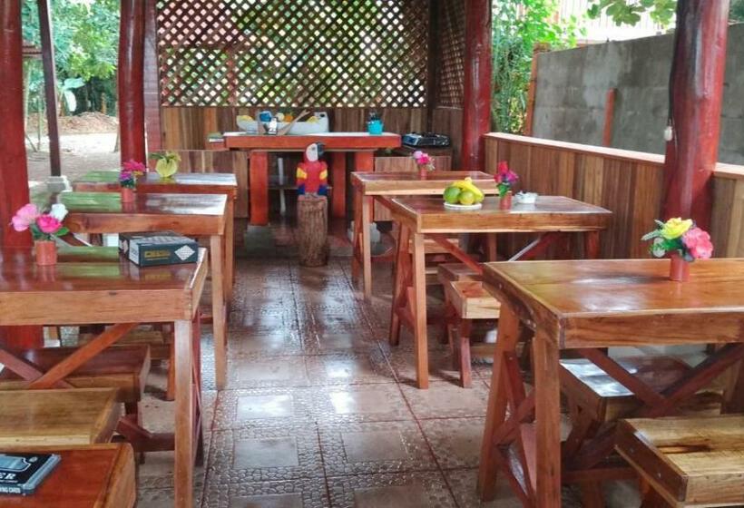 اتاق استاندارد, Gecko De Tortuguero