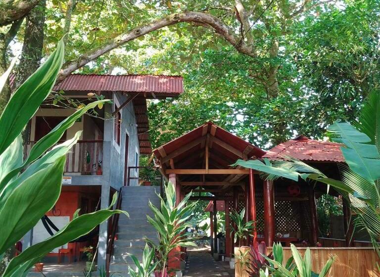 اتاق استاندارد, Gecko De Tortuguero