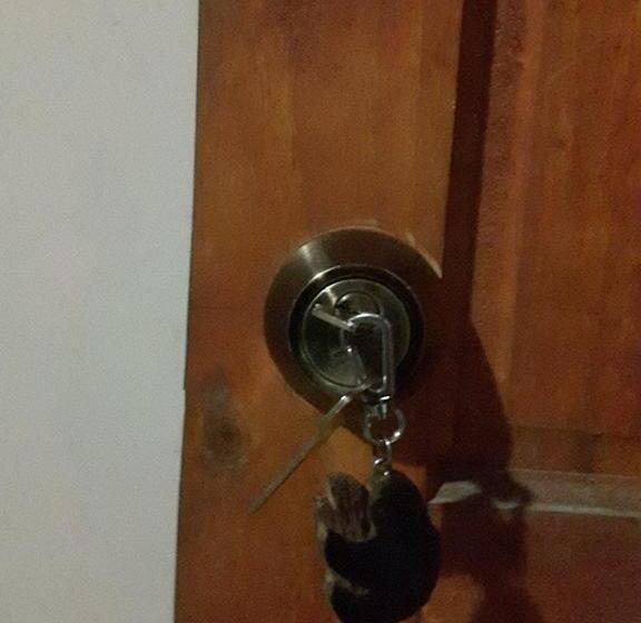 اتاق استاندارد, Gecko De Tortuguero