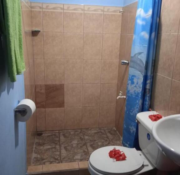 اتاق استاندارد, Gecko De Tortuguero