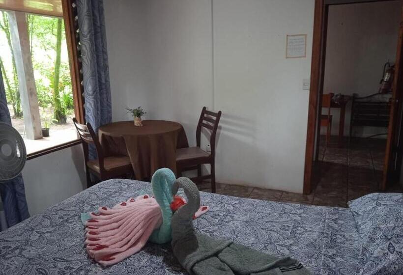 اتاق استاندارد, Gecko De Tortuguero