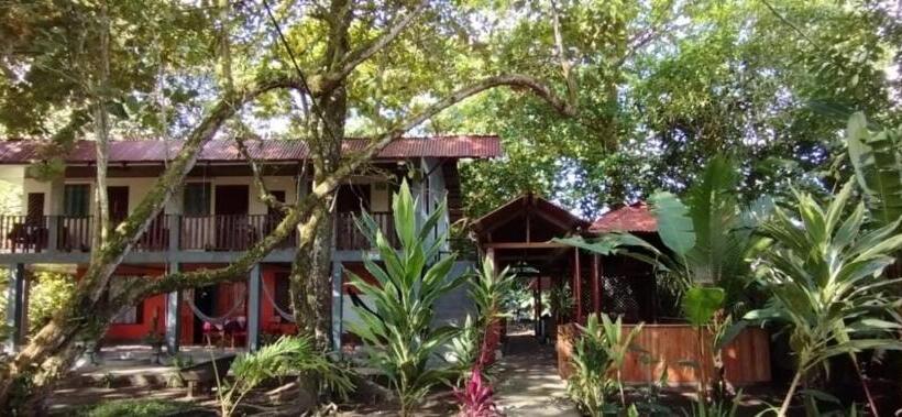 اتاق استاندارد چهار تخته, Gecko De Tortuguero