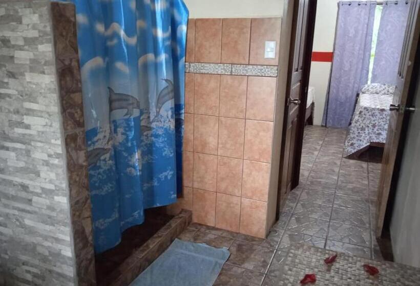 اتاق استاندارد چهار تخته, Gecko De Tortuguero