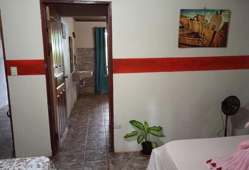 اتاق استاندارد چهار تخته, Gecko De Tortuguero