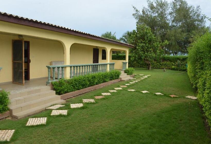 اتاق استاندارد با چشم‌انداز دریا, Novela Star