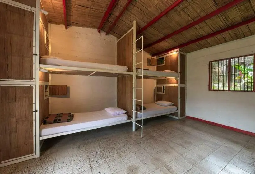 تختخواب در اتاق مشترک, Hacienda Venecia Hostel
