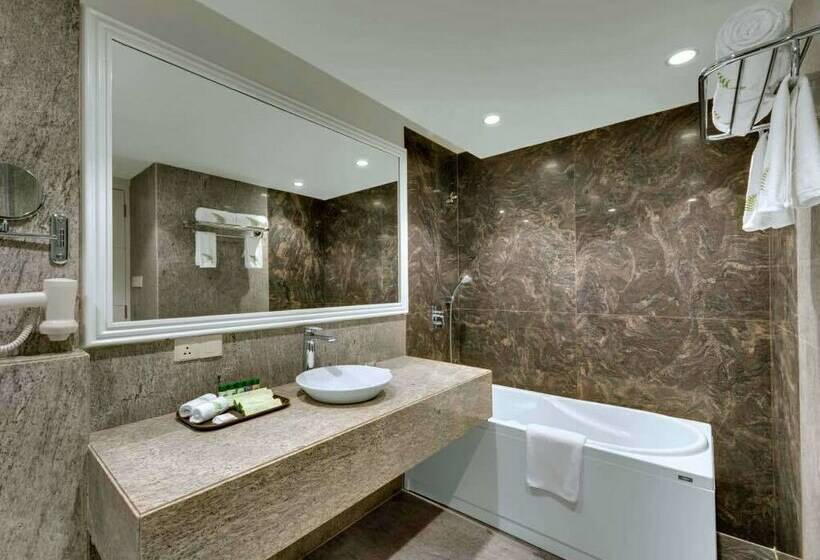 套房, Amanora The Fern Hotels & Club