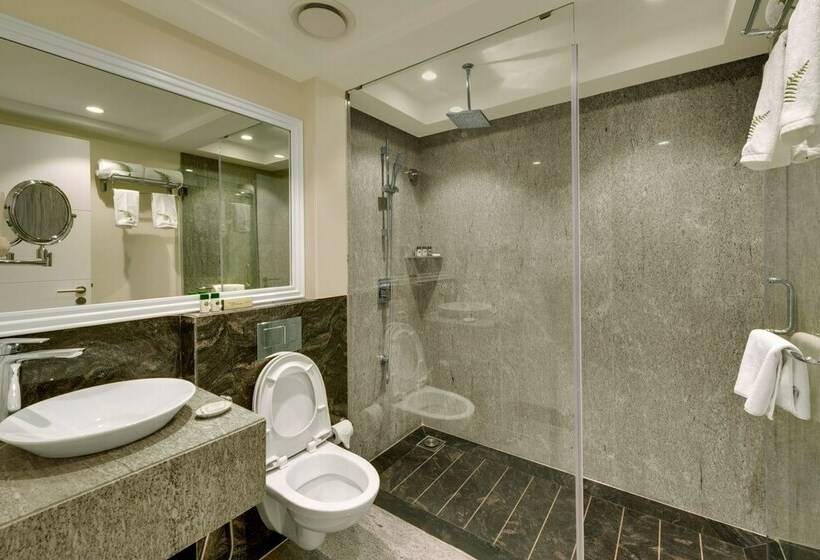 标准间, Amanora The Fern Hotels & Club